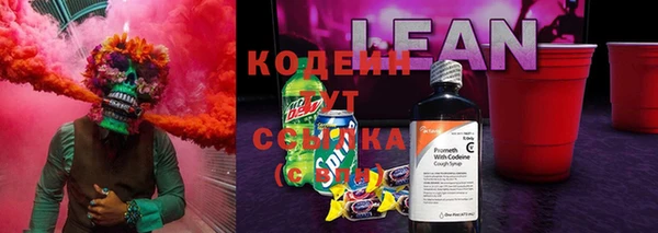 гидра Кулебаки